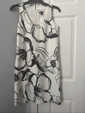 Ann Taylor White Mini Dress with Black Floral Print